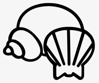 Shell, HD Png Download, Transparent PNG