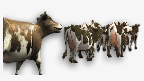 Rosie Withherd, HD Png Download, Transparent PNG