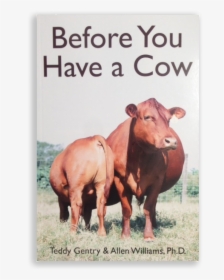 Before You Have A Cow, HD Png Download, Transparent PNG
