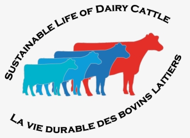 Cows Png, Transparent Png, Transparent PNG