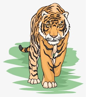 Tiger Clipart Cliparts And Others Art Inspiration, HD Png Download, Transparent PNG
