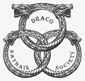 Draco Nathair Society, HD Png Download, Transparent PNG