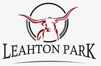 Texas Longhorns Logo Png - Texas Longhorn, Transparent Png, Transparent PNG