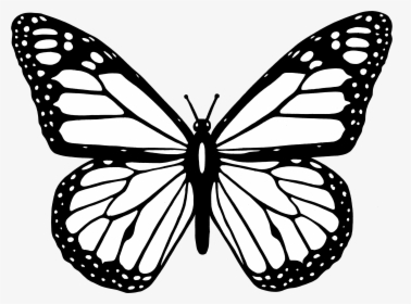 Butterfly Black And White Clipart Butterfly Png - Monarch Butterfly Coloring Pages, Transparent Png, Transparent PNG
