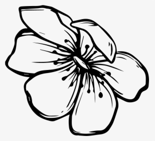 Flower Clipart Black And White - Flower White Png Doodle, Transparent Png, Transparent PNG