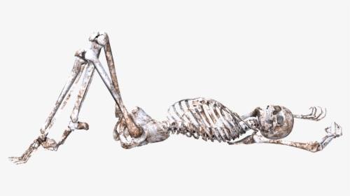 Skeleton, Pose, Skull, Bones, 3d, Lying Down, Png - Skeleton Laying Down, Transparent Png, Transparent PNG