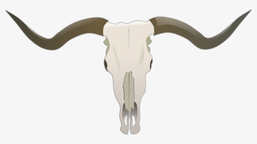 Skull Big Image Png - Longhorn Skull, Transparent Png, Transparent PNG