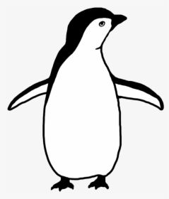Penguin Silhouette - Penguin Clipart Black And White, HD Png Download, Transparent PNG