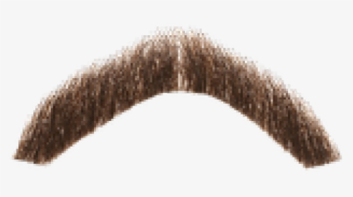 Moustache Png Transparent Images - Freddie Mercury Mustache Png, Png Download, Transparent PNG