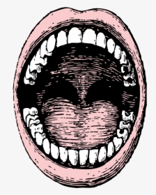 Screaming Mouth Png Transparent , Png Download - Big Open Mouth Drawing, Png Download, Transparent PNG