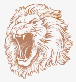 Lionshead Pilsner - Lion Brewery, Inc., HD Png Download, Transparent PNG