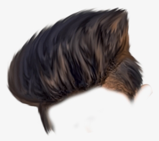 Boys Haircut Png Image - Png Hair Style Hd, Transparent Png, Transparent PNG