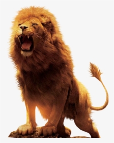 Aslan Lion Desktop Wallpaper Download - Lions Png, Transparent Png, Transparent PNG