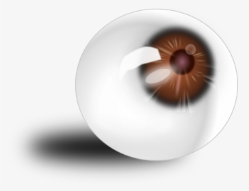 Eyeball, Anatomy, Red, Brown, Eye, Human - Shirshasana Benefits For Eyes, HD Png Download, Transparent PNG