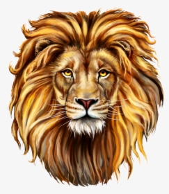 Lion Clip Art Png Image Free Download Searchpng - Draw A Lions Mane, Transparent Png, Transparent PNG