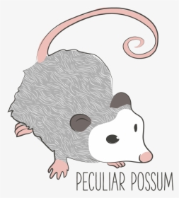 Possum-01 - Rat, HD Png Download, Transparent PNG