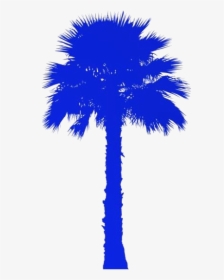 Free Palm Tree Png - Washingtonia Palm Trees Png, Transparent Png, Transparent PNG