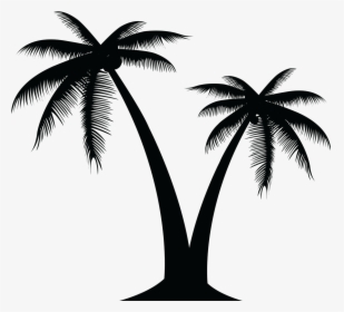 Palm Tree Silhouette At Getdrawings - Vector Palm Tree Png, Transparent Png, Transparent PNG