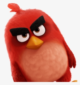 Transparent Angry Bird Png - Angry Bird Movie Hd, Png Download, Transparent PNG