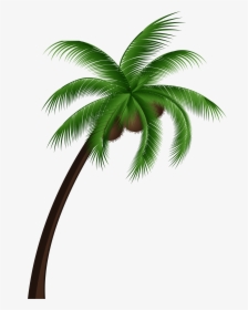Palm Tree Top View Png - Coconut Tree Clipart Png, Transparent Png, Transparent PNG