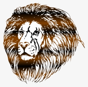 Lion Svg Clip Arts - Mane Clipart, HD Png Download, Transparent PNG