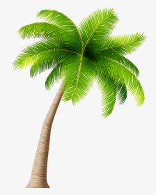 Palm Tree Png Clipart Image - Transparent Background Coconut Tree Clipart, Png Download, Transparent PNG