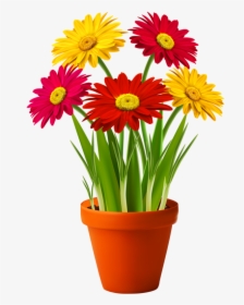 0 Floral Drawing, Flower Pots, Potted Flowers, Good - Flower With Pot Png, Transparent Png, Transparent PNG