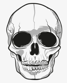 Cartoon Skull PNG Images, Transparent Cartoon Skull Image Download - PNGitem