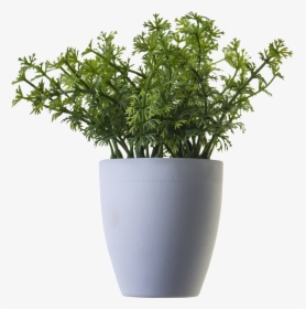 Free Icons Png - Transparent Potted Plant Png, Png Download, Transparent PNG