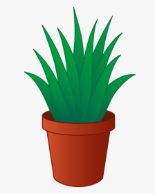 Aloe Vera Plant In Pot Clipart - Plant In Pot Png Clipart, Transparent Png, Transparent PNG
