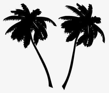 Palms, Trees, Black, Silhouettes - Palm Tree Vector Png, Transparent Png, Transparent PNG