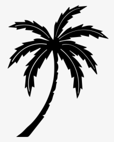 Free Stock Palm Tree Tropic Free Graphics Illustrations - Palm Tree Clip Art Black, HD Png Download, Transparent PNG