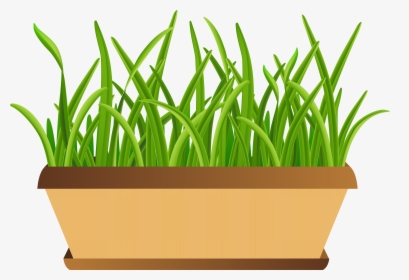 Transparent Png, Transparent PNG