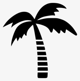 Palm Tree Png Outline - Palm Tree Logo Png, Transparent Png, Transparent PNG