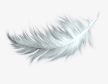White Feather - Bird Feather Png, Transparent Png, Transparent PNG