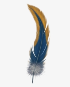 Feather Png - Bird Of Paradise Feather, Transparent Png, Transparent PNG