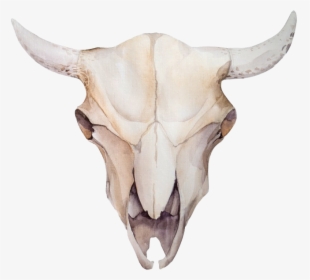 Flower Crown Bull Skull, HD Png Download, Transparent PNG