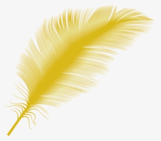 Yellow Feather Close-up - Transparent Yellow Feather Png, Png Download, Transparent PNG