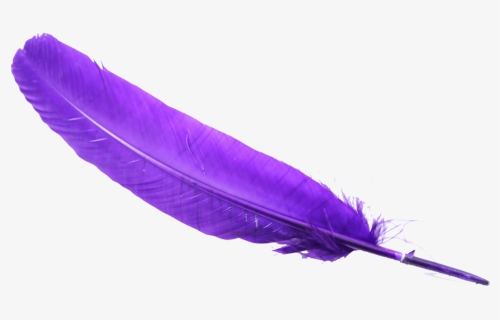 Feather Png Clipart - Transparent Background Feather Clipart, Png Download, Transparent PNG