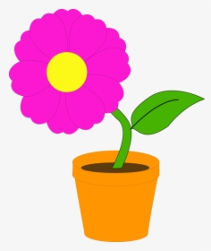 Flower Pot Drawing Pictures And Cliparts, Download - Cartoon Flower In A Pot, HD Png Download, Transparent PNG
