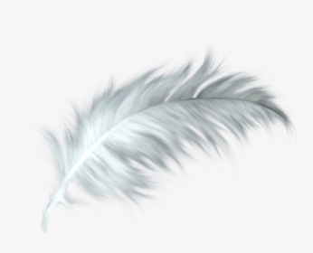 White Feather Healing Quill Paris - White Feather Png Transparent, Png Download, Transparent PNG