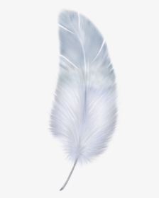 Birdy Feather Png Download - Free Feather Transparent Background, Png Download, Transparent PNG