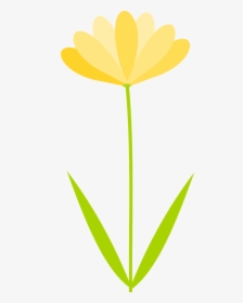 Flower No Transparent Para - Clear Background Flower Clip Art, HD Png Download, Transparent PNG