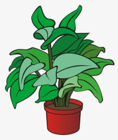 Plant, Green Plant, Garden, Gardening, Pot, Flower - Clipart Of A Plant, HD Png Download, Transparent PNG