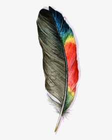 Macaw Feather Png Image Background - Transparent Background Feather Png, Png Download, Transparent PNG