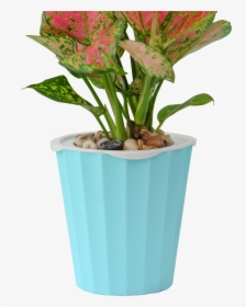 Cheap Fiber Clay Cement Vertical Garden Large Flower - Flowerpot, HD Png Download, Transparent PNG