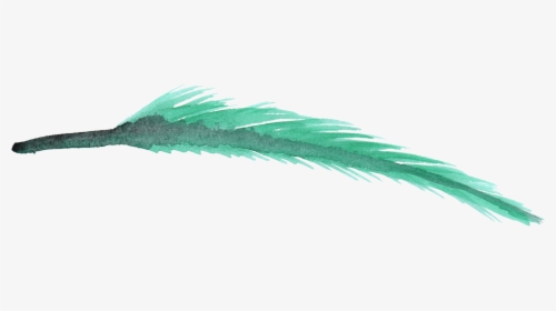 Watercolor Feather Transparent Background, HD Png Download, Transparent PNG