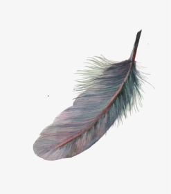 Feather Watercolor Painting Pixel - Watercolor Feather Png, Transparent Png, Transparent PNG