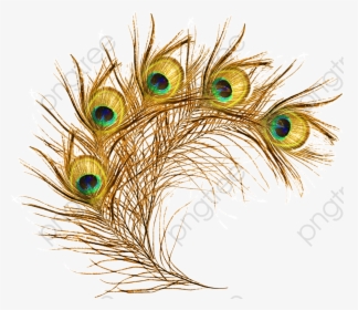 Transparent Transparent Eye Png - Krishna Transparent Peacock Feather Png, Png Download, Transparent PNG