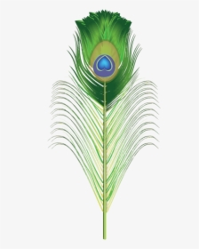 Peacock Brush For Adobe Illustrator Green Png Png Images - Transparent Peacock Png Feather, Png Download, Transparent PNG